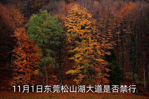 11月1日東莞松山湖大道是否禁行