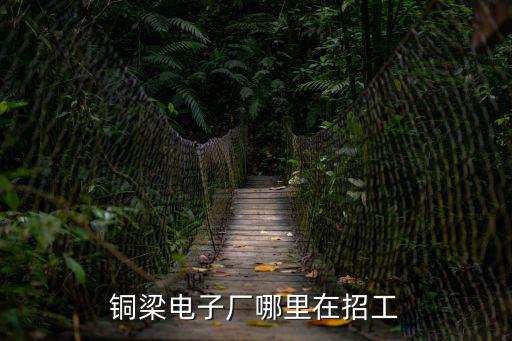 重慶市銅梁區蒲呂工業園區招聘，重慶銅梁蒲呂工業園龍慶路11號郵編郵編