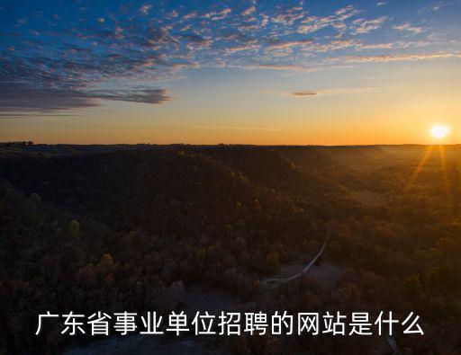 廣東省事業單位招聘的網站是什么