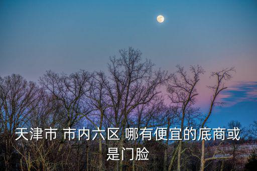 天津市 市內六區 哪有便宜的底商或是門臉