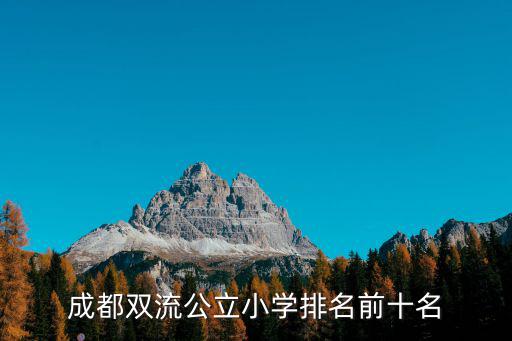 成都雙流公立小學排名前十名