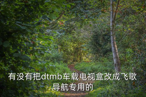 有沒有把dtmb車載電視盒改成飛歌導航專用的