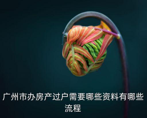 廣州過(guò)戶(hù)新政策，廣州粵A車(chē)牌過(guò)戶(hù)政策