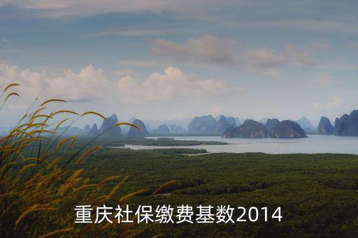 重慶社保繳費基數(shù)2014