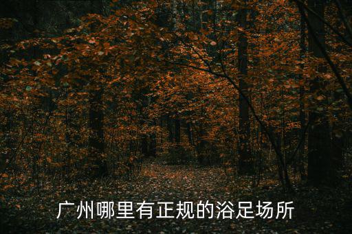 廣州哪里有正規的浴足場所