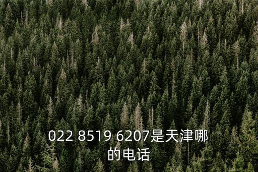 022 8519 6207是天津哪的電話