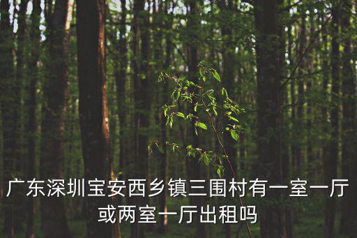 廣東深圳寶安西鄉(xiāng)鎮(zhèn)三圍村有一室一廳或兩室一廳出租嗎