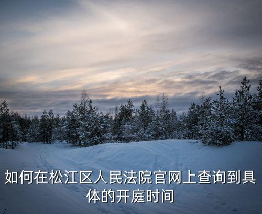 如何在松江區(qū)人民法院官網(wǎng)上查詢到具體的開(kāi)庭時(shí)間