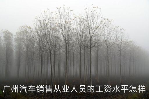 廣州汽車銷售從業人員的工資水平怎樣