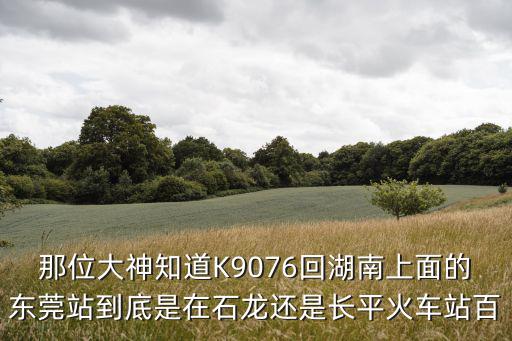 那位大神知道K9076回湖南上面的東莞站到底是在石龍還是長(zhǎng)平火車站百