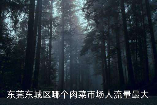 東莞東城區(qū)哪個(gè)肉菜市場(chǎng)人流量最大