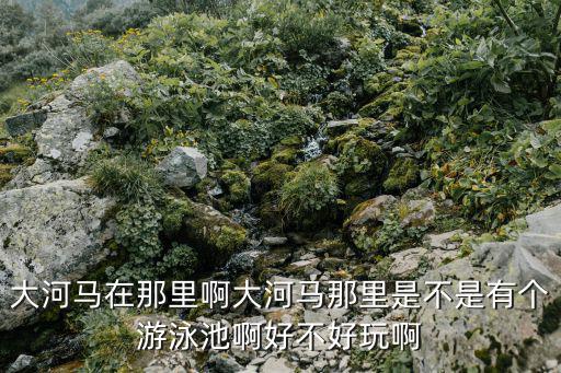 大河馬在那里啊大河馬那里是不是有個(gè)游泳池啊好不好玩啊