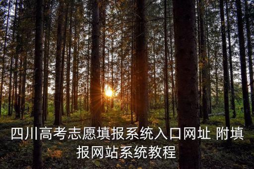 四川高考志愿填報(bào)系統(tǒng)入口網(wǎng)址 附填報(bào)網(wǎng)站系統(tǒng)教程