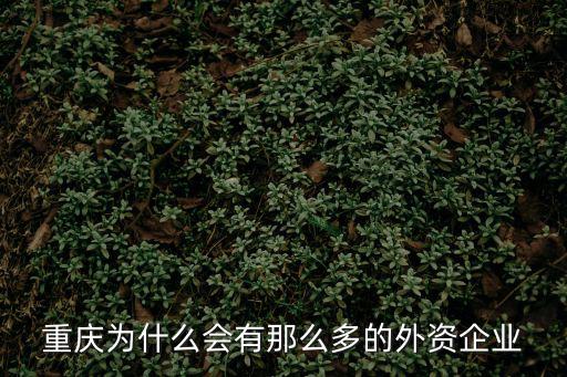 重慶為什么會有那么多的外資企業