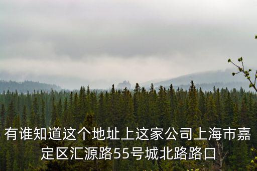有誰知道這個地址上這家公司上海市嘉定區匯源路55號城北路路口