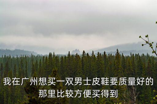 我在廣州想買一雙男士皮鞋要質量好的那里比較方便買得到