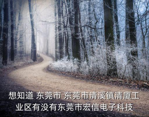 東莞市黃毅包裝，印刷拷貝紙廠家