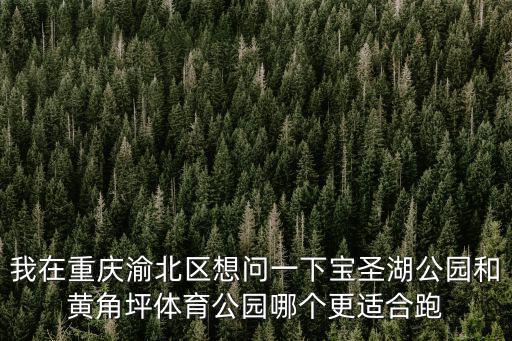 重慶市渝北區碧津公園撈起一具女尸，我在重慶渝北區想問一下寶圣湖公園和黃角坪體育公園哪個更適合跑
