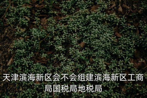 天津濱海新區會不會組建濱海新區工商局國稅局地稅局