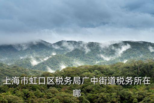 上海市國家虹口稅務局，上海市虹口區稅務局廣中街道稅務所在哪
