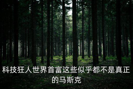 科技狂人世界首富這些似乎都不是真正的馬斯克