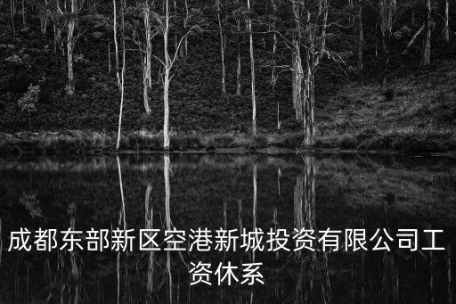 成都東部新區(qū)空港新城投資有限公司工資休系