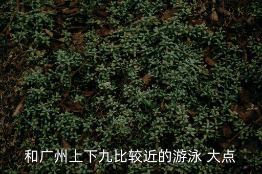和廣州上下九比較近的游泳 大點