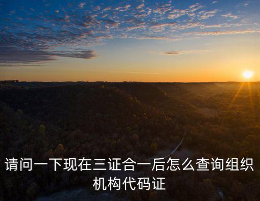請問一下現在三證合一后怎么查詢組織機構代碼證