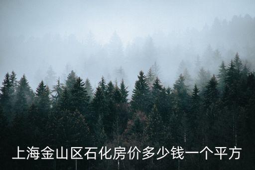 上海市金山區石化最新房價，上海金山區石化房價多少錢一個平方