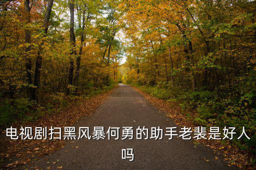 電視劇掃黑風暴何勇的助手老裴是好人嗎