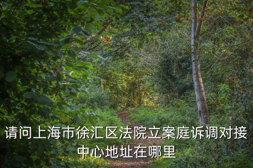 請問上海市徐匯區法院立案庭訴調對接中心地址在哪里