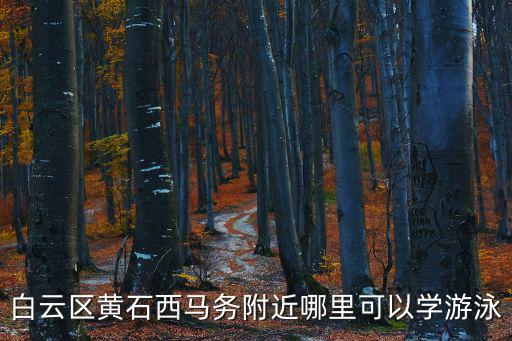 白云區(qū)黃石西馬務(wù)附近哪里可以學(xué)游泳