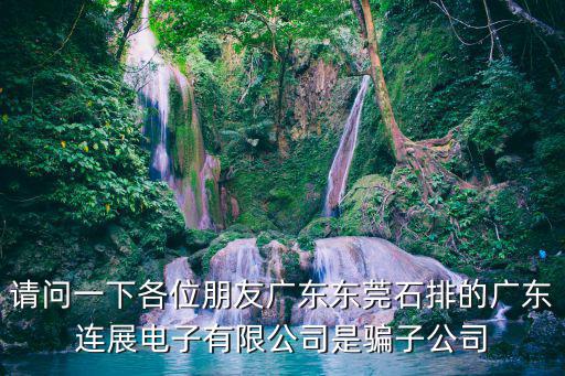 請問一下各位朋友廣東東莞石排的廣東連展電子有限公司是騙子公司