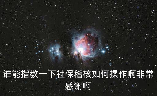 誰能指教一下社保稽核如何操作啊非常感謝啊