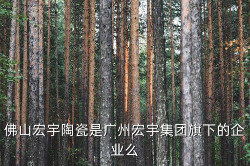 佛山宏宇陶瓷是廣州宏宇集團旗下的企業么