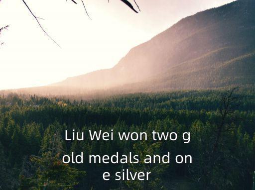 2018重慶市殘疾人游泳錦標(biāo)賽，Liu Wei won two gold medals and one silver