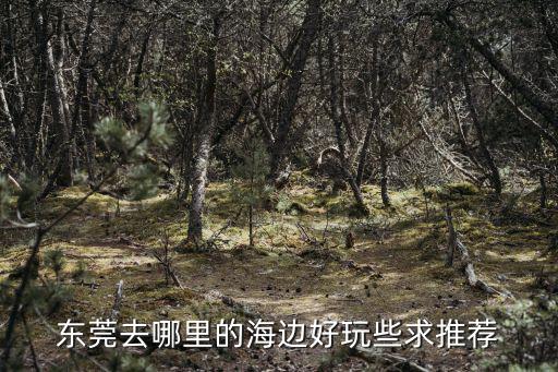 東莞去哪里的海邊好玩些求推薦
