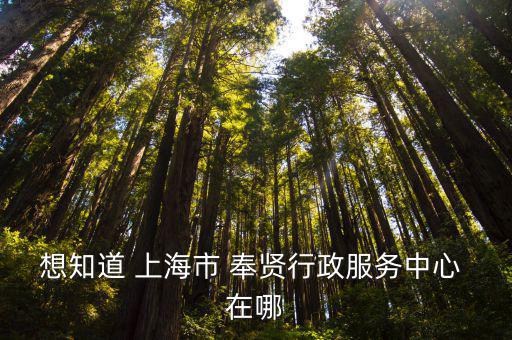 想知道 上海市 奉賢行政服務(wù)中心 在哪