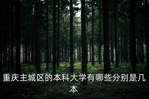 重慶主城區的本科大學有哪些分別是幾本