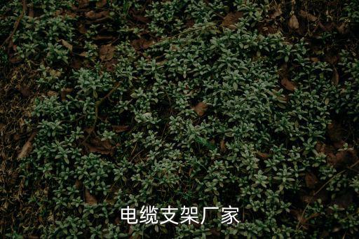 東莞支架加工，廣東抗震支架十大品牌