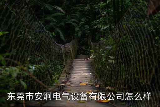 東莞市安炯電氣設備有限公司怎么樣