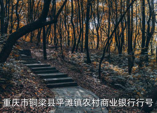 重慶市銅梁縣平灘鎮農村商業銀行行號
