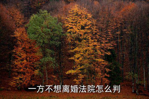 一方不想離婚法院怎么判