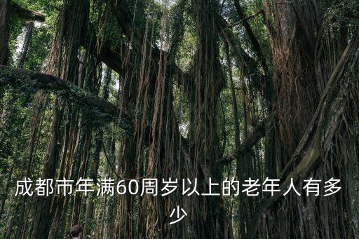 成都市年滿60周歲以上的老年人有多少