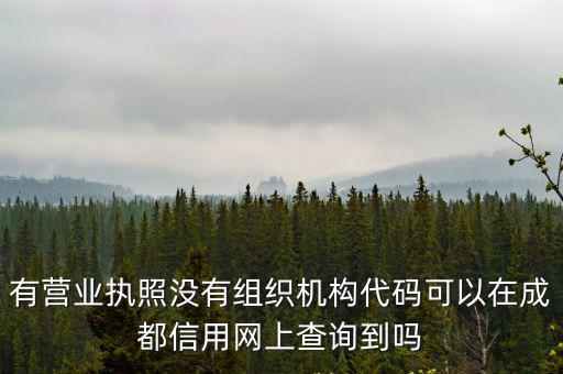 有營業(yè)執(zhí)照沒有組織機構(gòu)代碼可以在成都信用網(wǎng)上查詢到嗎