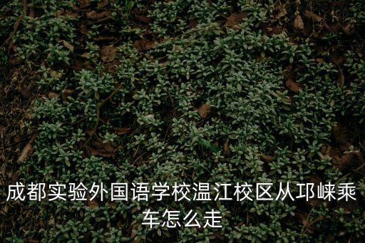 成都市溫江區實外地址，實外的溫江校區是怎樣的