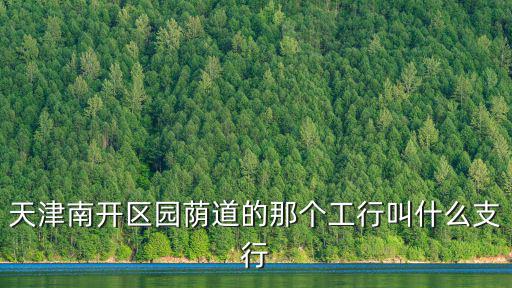 天津南開區園蔭道的那個工行叫什么支行