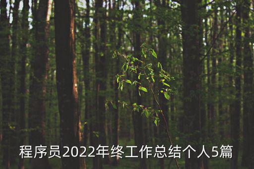 程序員2022年終工作總結個人5篇