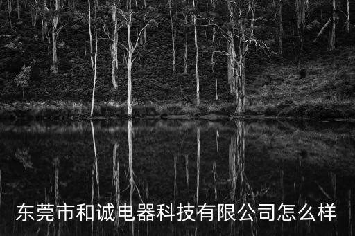 東莞市和誠電器科技有限公司怎么樣