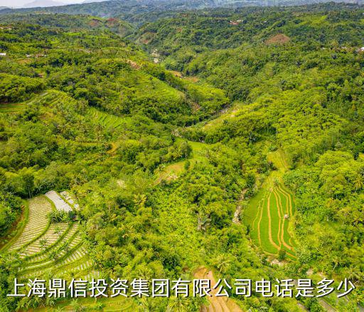 上海鼎信投資集團有限公司電話是多少